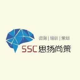 思揚尚策企業管理咨詢招聘職位 拉勾網 專業的互聯網招聘平臺
