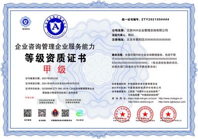 企業(yè)咨詢管理企業(yè)服務(wù)能力 等級證書